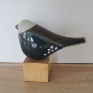 Blue Dotted Wing Bird