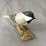 Chickadee on Branch with Leaves