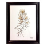 Potamogeton  robbinsii - Image 2