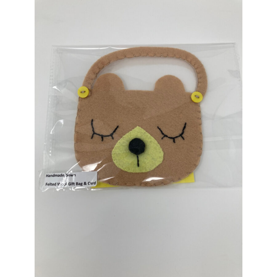 Teddy Gift Bag with Card
