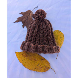Brown Cabled Hat