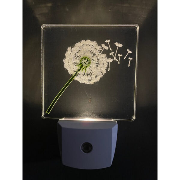 Dandelion Nightlight