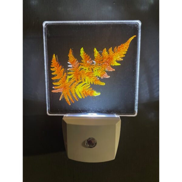 Fern in Fall Nightlight