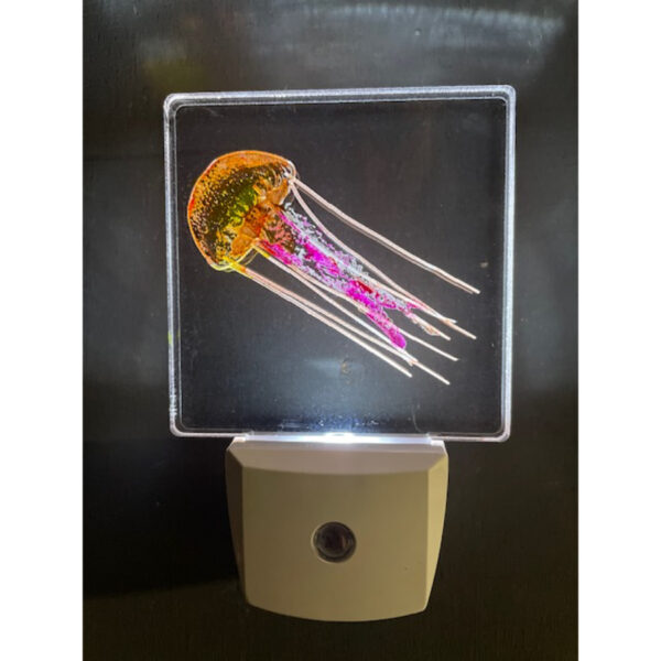 Jellyfish Nightlight