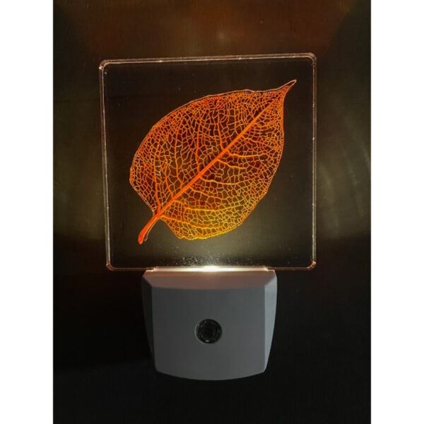 Leaf in Fall Nightlight