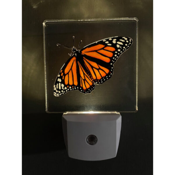 Monarch Nightlight