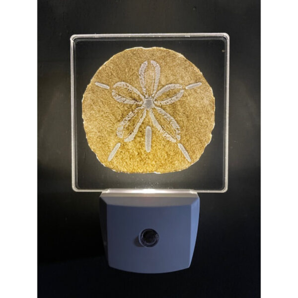 Sand Dollar Nightlight