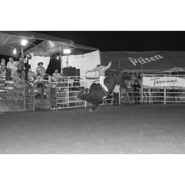 Bucking Bull