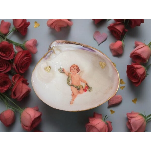 Cherub Decorative Shell