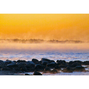 Sea Smoke