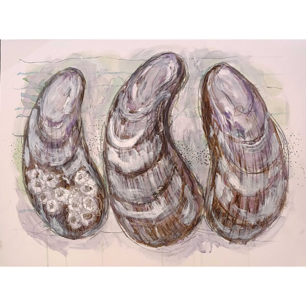 3 Mussels