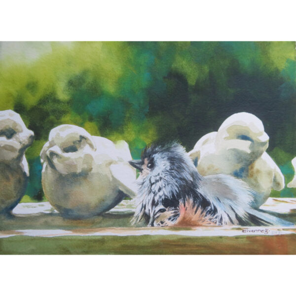 All Washed Up (Titmouse)