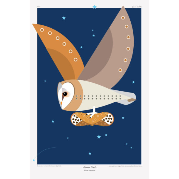 Barn Owl w. Cannoli