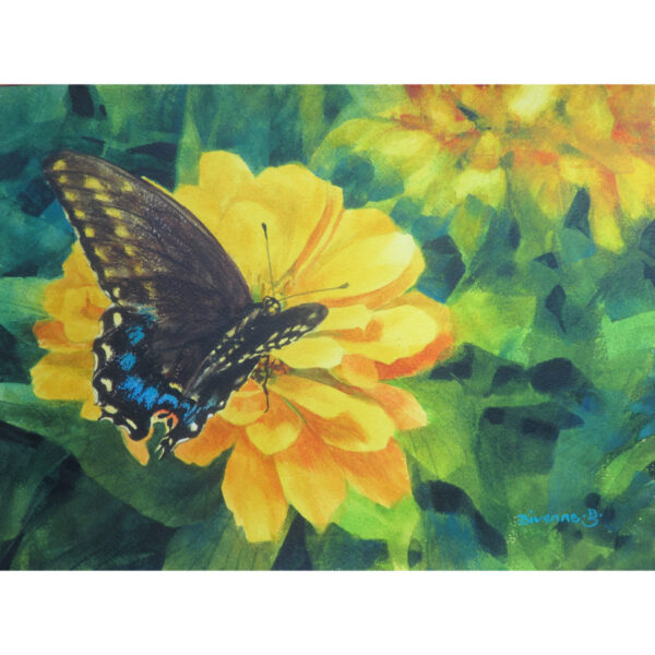 Black Swallowtail Beauty