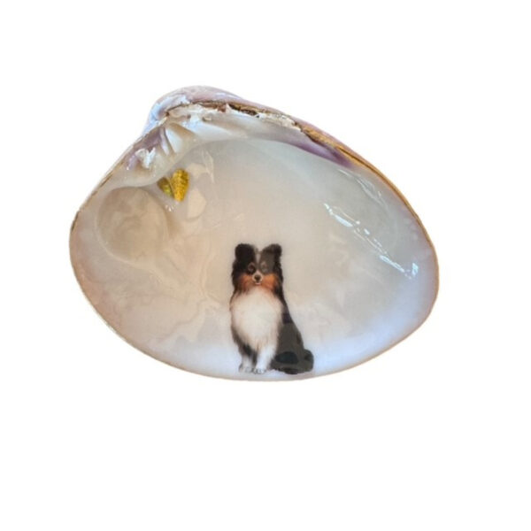 Border Collie Decorative Shell