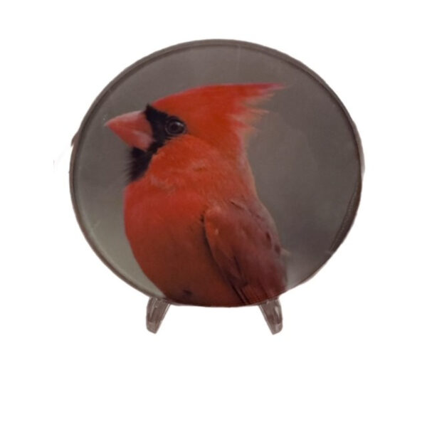 Cardinal Glass Panel