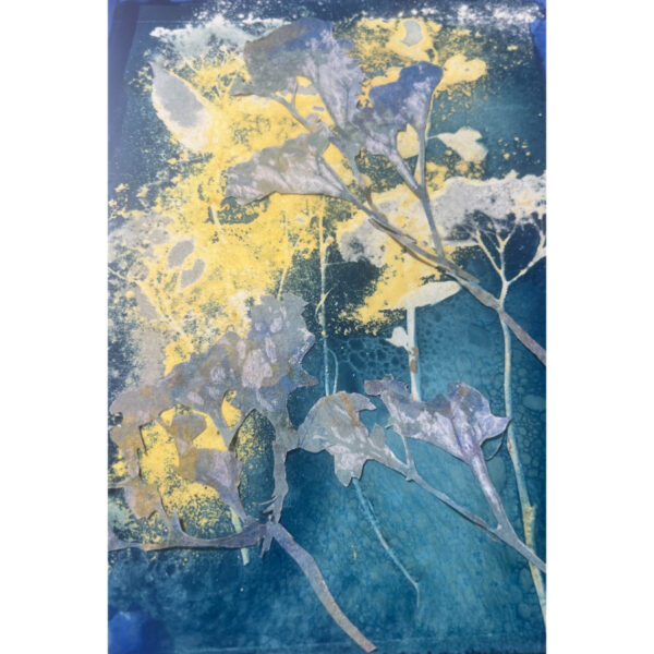 Cyanotype #01
