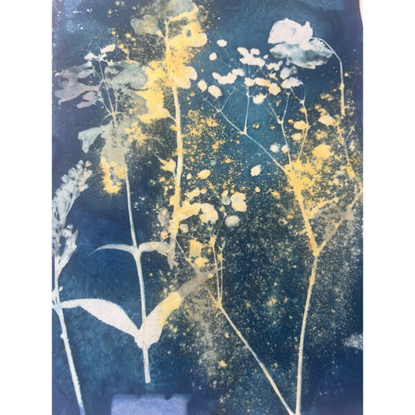 Cyanotype #02