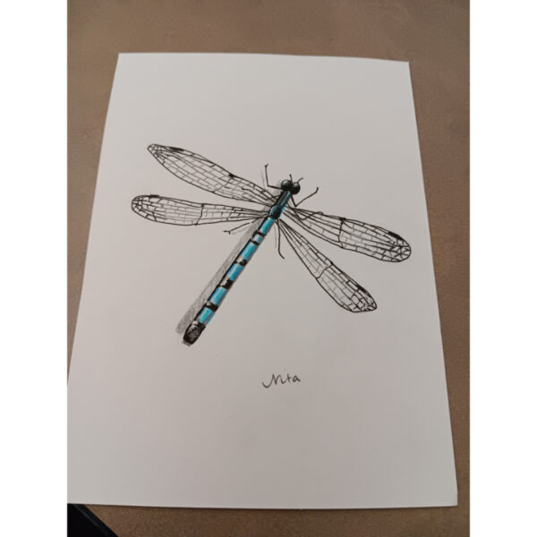 Damselfly