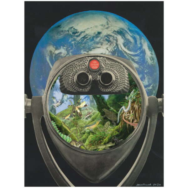 Earth Observation