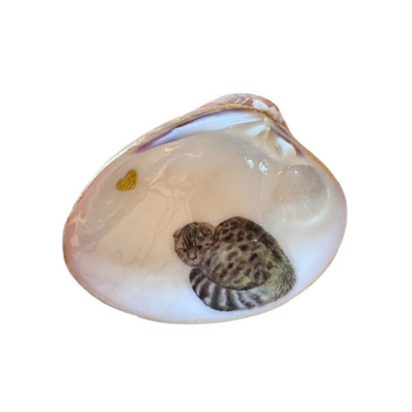 Gray Spots Cat Decorative Shell