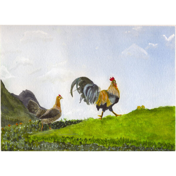 Hurry Up Myrtle - Chickens