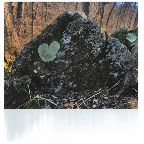 Lichen Heart