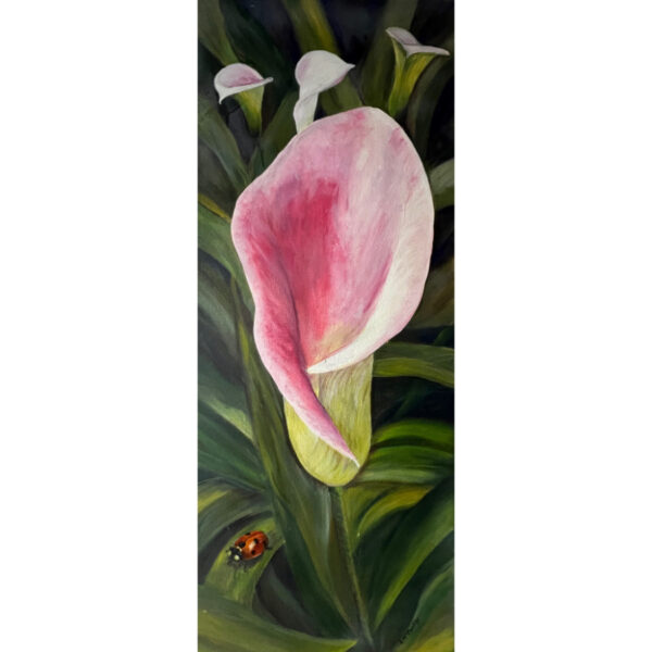 Lily and the Ladybug