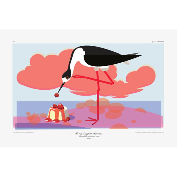 Long-legged Avocet w. Panna Cotta