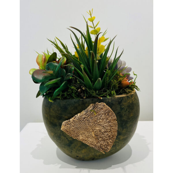 Mushroom Pot