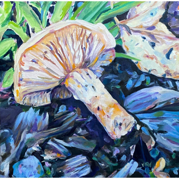 Mushroom!