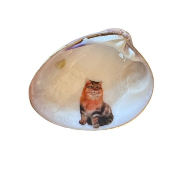 Orange Cat Decorative Shell