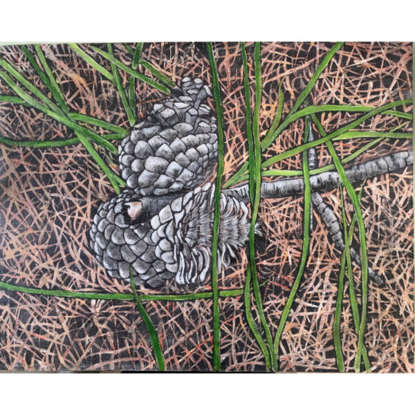 Forest Floor