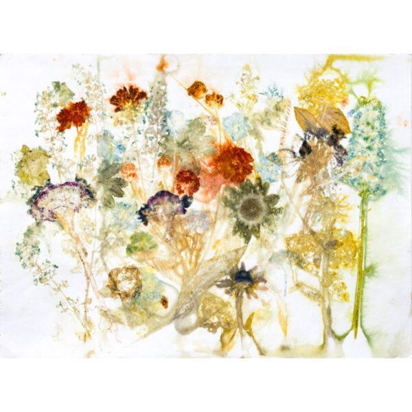 Profusion