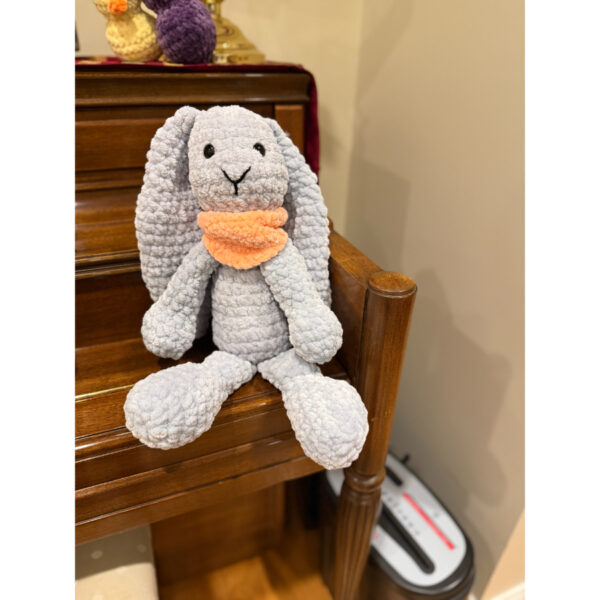 Remy the Rabbit
