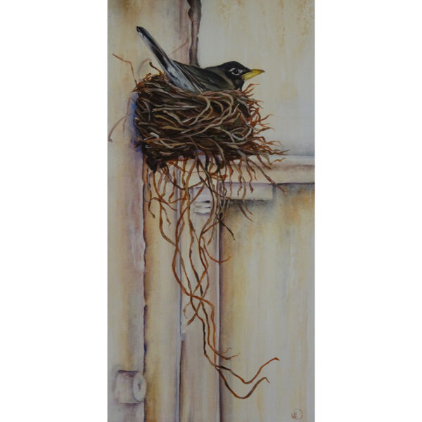 Nesting Robin