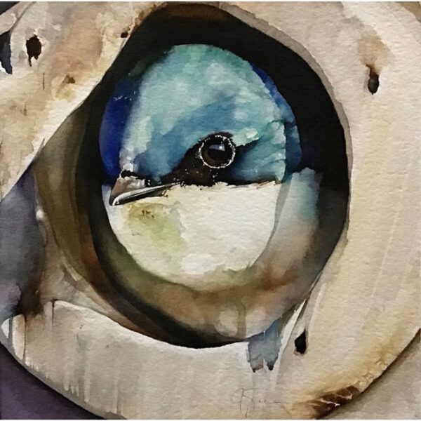 Roost