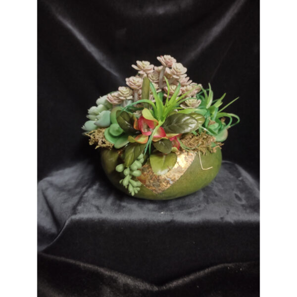 Succulent Garden