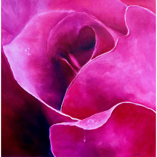 Teardrops on Roses