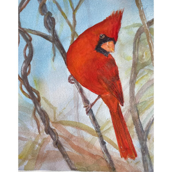 Cardinal in Spring