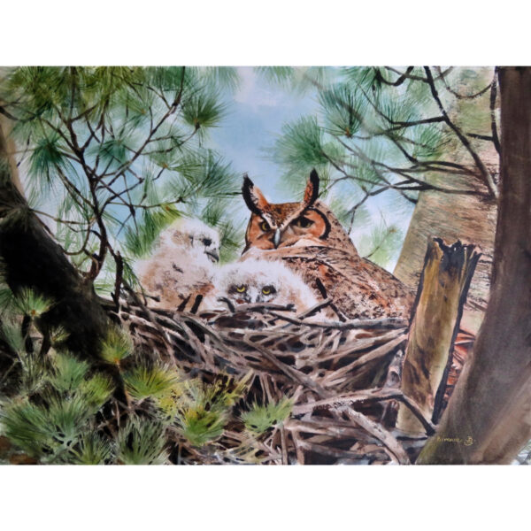 Twin Hoots