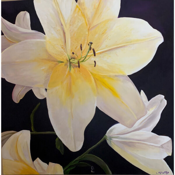 White Lilies