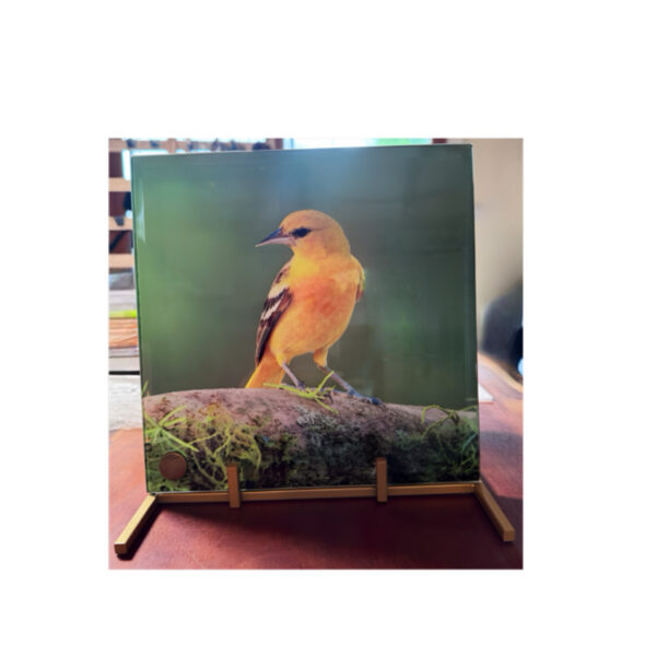 Yellow Bird Glass Panel