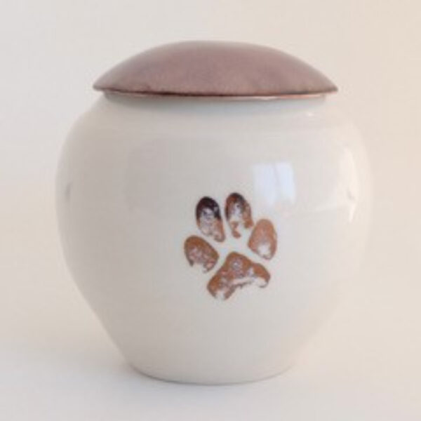 Dog Paw Lidded Vessel