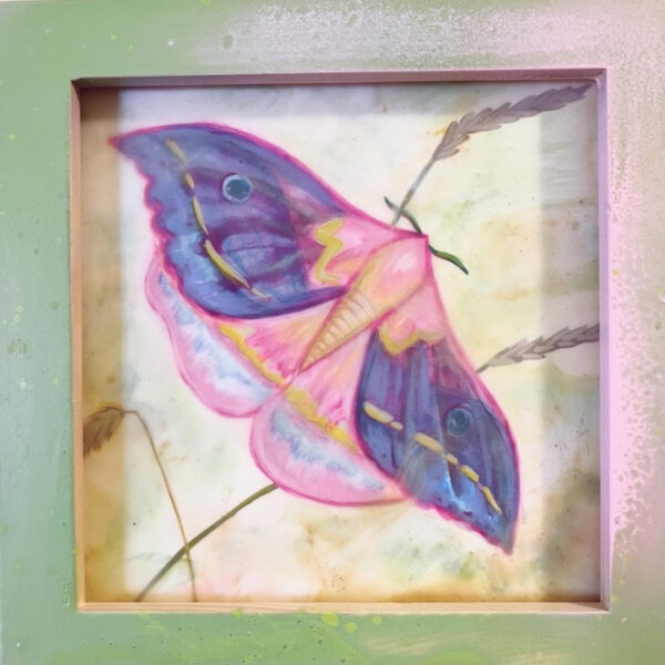 Pastel Moth