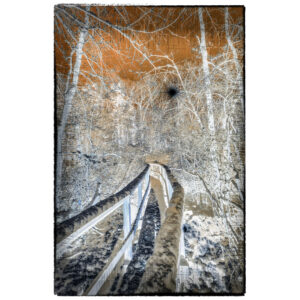 Wood Between the Worlds