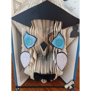 Graduation Owl Book Art