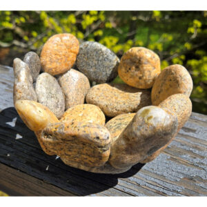 Sandy Toes Bowl