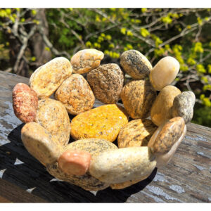 Ten Sandy Toes Bowl