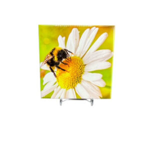 Bee Lonely Ceramic Tiles
